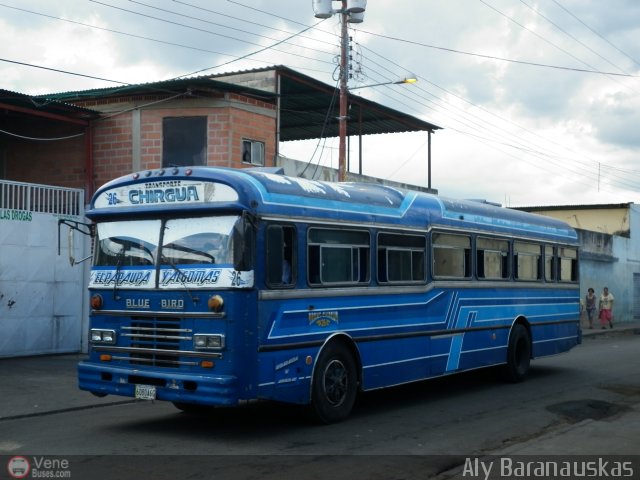 Transporte Chirgua 0026 por Aly Baranauskas