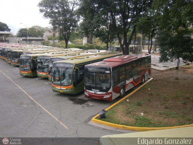 Metrobus Caracas 1186 por Edgardo Gonzlez