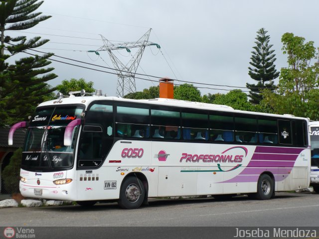 Empresa Profesionales del Transporte 6050 por Joseba Mendoza