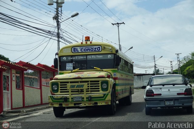 TA - Unin Transporte El Corozo S.A. 84 por Pablo Acevedo