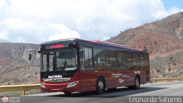 Bus Viga 77 por Leonardo Saturno