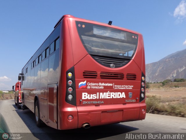 Bus Mrida 985 por Alberto Bustamante
