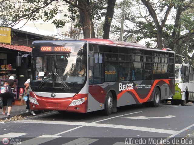 Bus CCS 1263 por Alfredo Montes de Oca