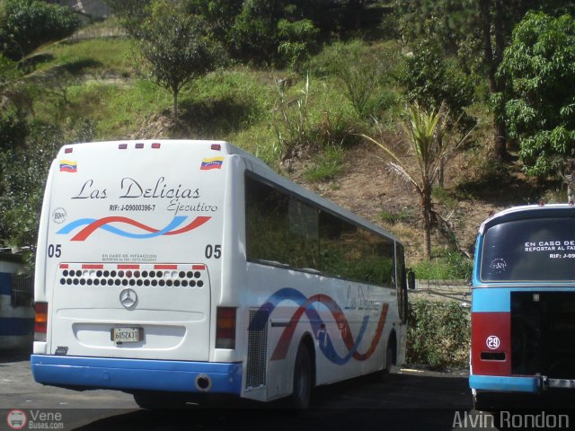 Transporte Las Delicias C.A. E-05 por Alvin Rondn