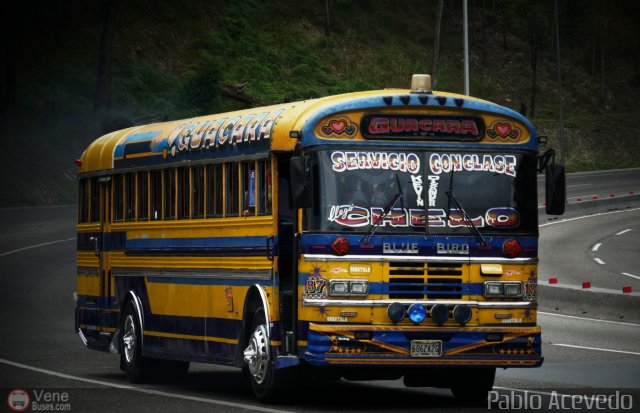 Transporte Guacara 0187 por Pablo Acevedo