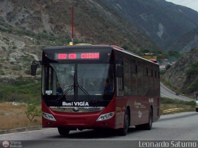 Bus Viga 666 por Leonardo Saturno