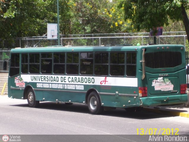 Universidad de Carabobo 501 por Alvin Rondn