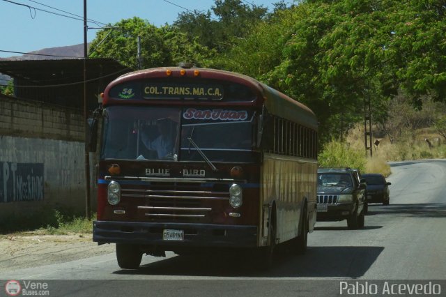 Colectivos Transporte Maracay C.A. 54 por Pablo Acevedo