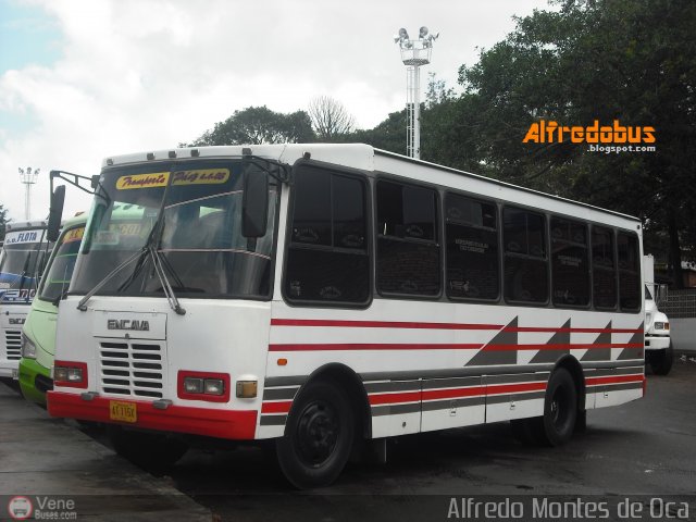 A.C. Transporte Paez 003 por Alfredo Montes de Oca