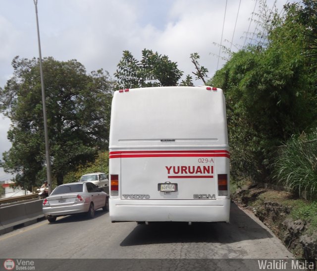 Yuruani 029-A por Waldir Mata