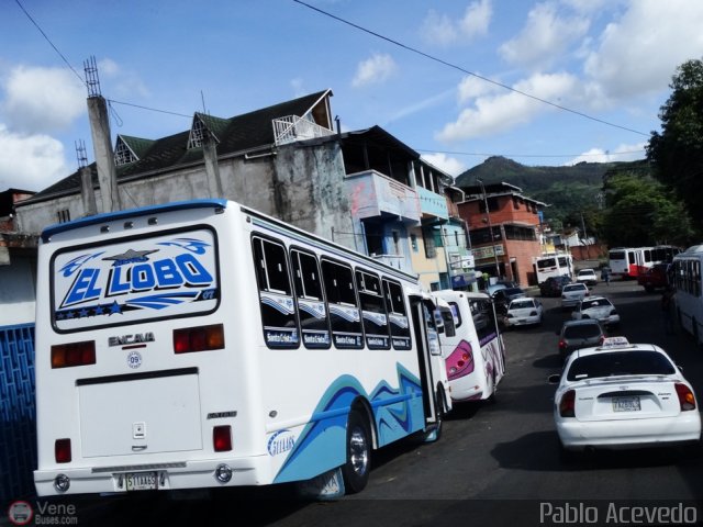 A.C. Lnea Autobuses Por Puesto Unin La Fra 09 por Pablo Acevedo
