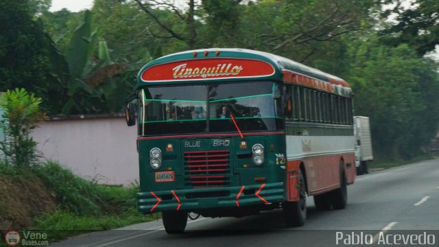 Autobuses de Tinaquillo 12 por Pablo Acevedo