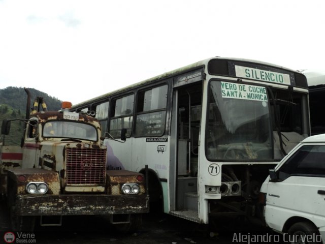 DC - Autobuses de El Manicomio C.A 71 por Alejandro Curvelo