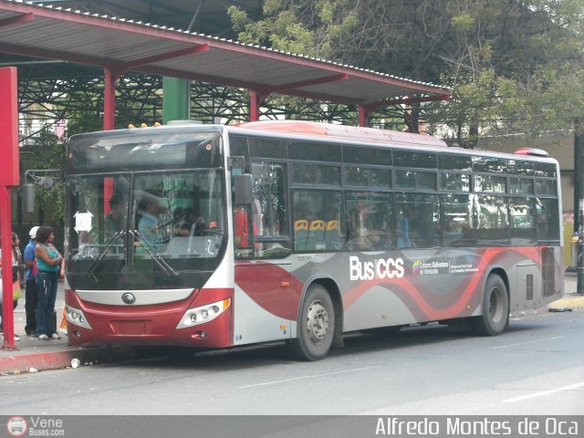 Bus CCS 1282 por Alfredo Montes de Oca