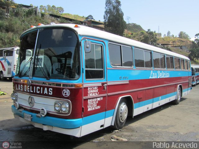 Transporte Las Delicias C.A. 29 por Pablo Acevedo