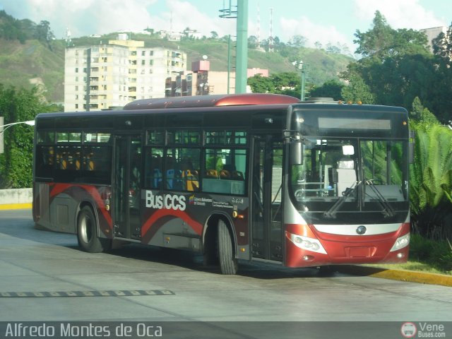 Bus CCS 1302 por Alfredo Montes de Oca