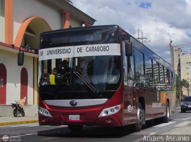 Universidad de Carabobo 502 por Andrs Ascanio