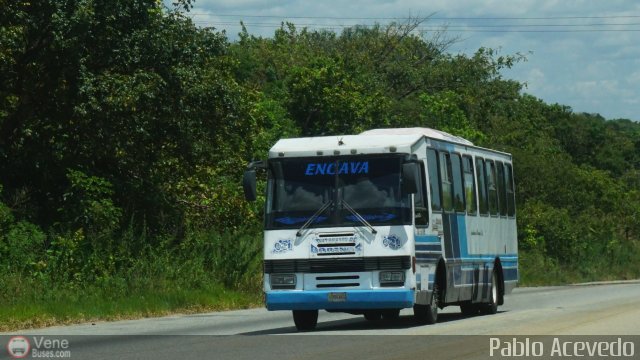 Autobuses de Barinas 021 por Pablo Acevedo
