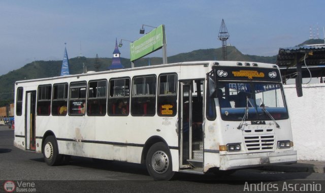 Autobuses de Tinaquillo 05 por Andrs Ascanio