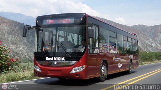 Bus Viga 99 por Leonardo Saturno