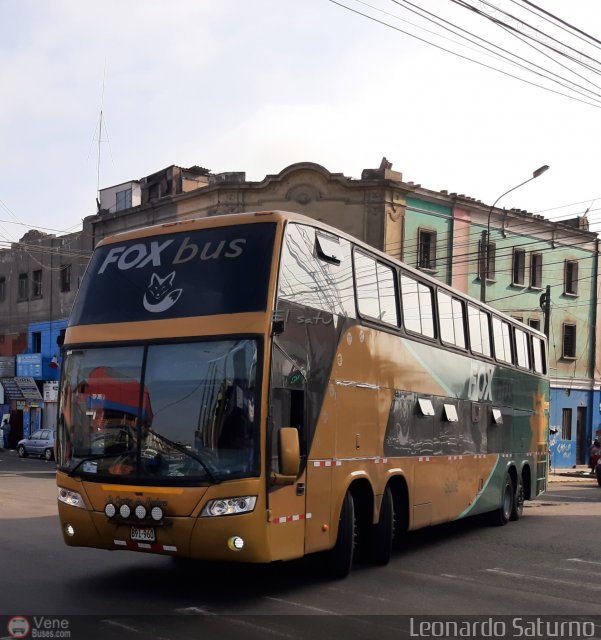 Fox Bus 960 por Leonardo Saturno