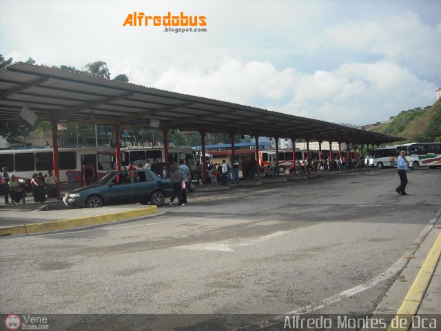 Garajes Paradas y Terminales Los Teques por Alfredo Montes de Oca