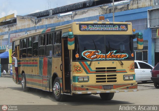 Transporte Guacara 0022 por Andrs Ascanio