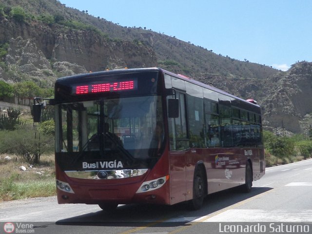 Bus Viga 96 por Leonardo Saturno