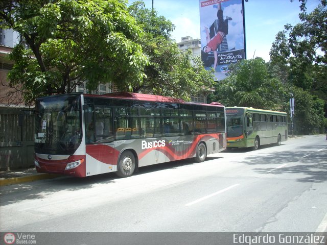 Bus CCS 1100 por Edgardo Gonzlez