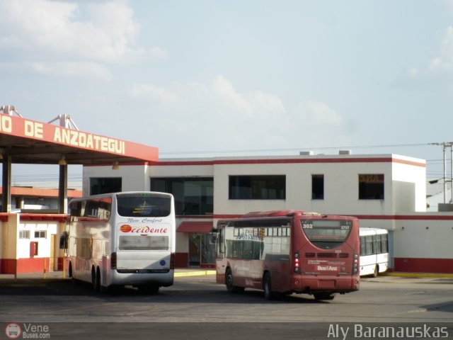 Garajes Paradas y Terminales El Tigre por Aly Baranauskas