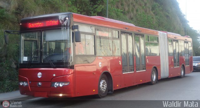 Bus CCS 0101 por Waldir Mata