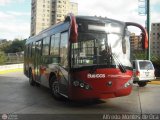 Bus CCS 1407, por Alfredo Montes de Oca