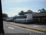Unin Conductores Aeropuerto Maiqueta Caracas 034 CAndinas - Carroceras Andinas U1400 Chevrolet - GMC CHR660