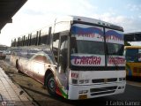 Transporte Mixto Pedro Leon Torres C.A. 12 Busscar Jum Buss 340 Volvo B10M