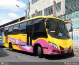 Organizacin Guaicamacuto 532 Servibus de Venezuela Circn Hino FC4J