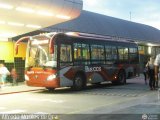 Bus CCS 1409, por Alfredo Montes de Oca