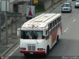 MI - Transporte Uniprados 024