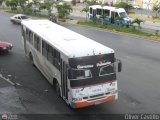 Transporte Unido (VAL - MCY - CCS - SFP) 011, por Oliver Castillo