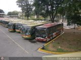 Metrobus Caracas 1186, por Edgardo Gonzlez