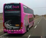 Fox Bus 2018 por Bredy Cruz