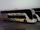 Expresos Flamingo
