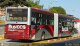 Bus CCS ND, por Waldir Mata