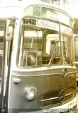 Autobuses Expresos Catia La Mar 327