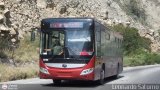 Bus Mrida 38
