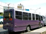 A.C. Transporte Independencia 039, por Andy Pardo