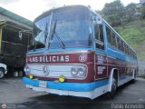 Transporte Las Delicias C.A. 31, por Pablo Acevedo