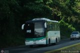 Carbonera de Negocios Venezolanos C.A. 1206 Intercar Celta Limousine Higer Bus KLQ6896 (Cummins 230HP)