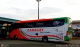 Transporte Zaracay 13, por Leonardo Saturno