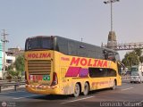 Transportes Molina Per S.A.C. 965, por Leonardo Saturno
