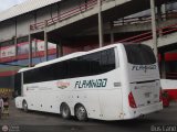 Expresos Flamingo 0128, por Bus Land